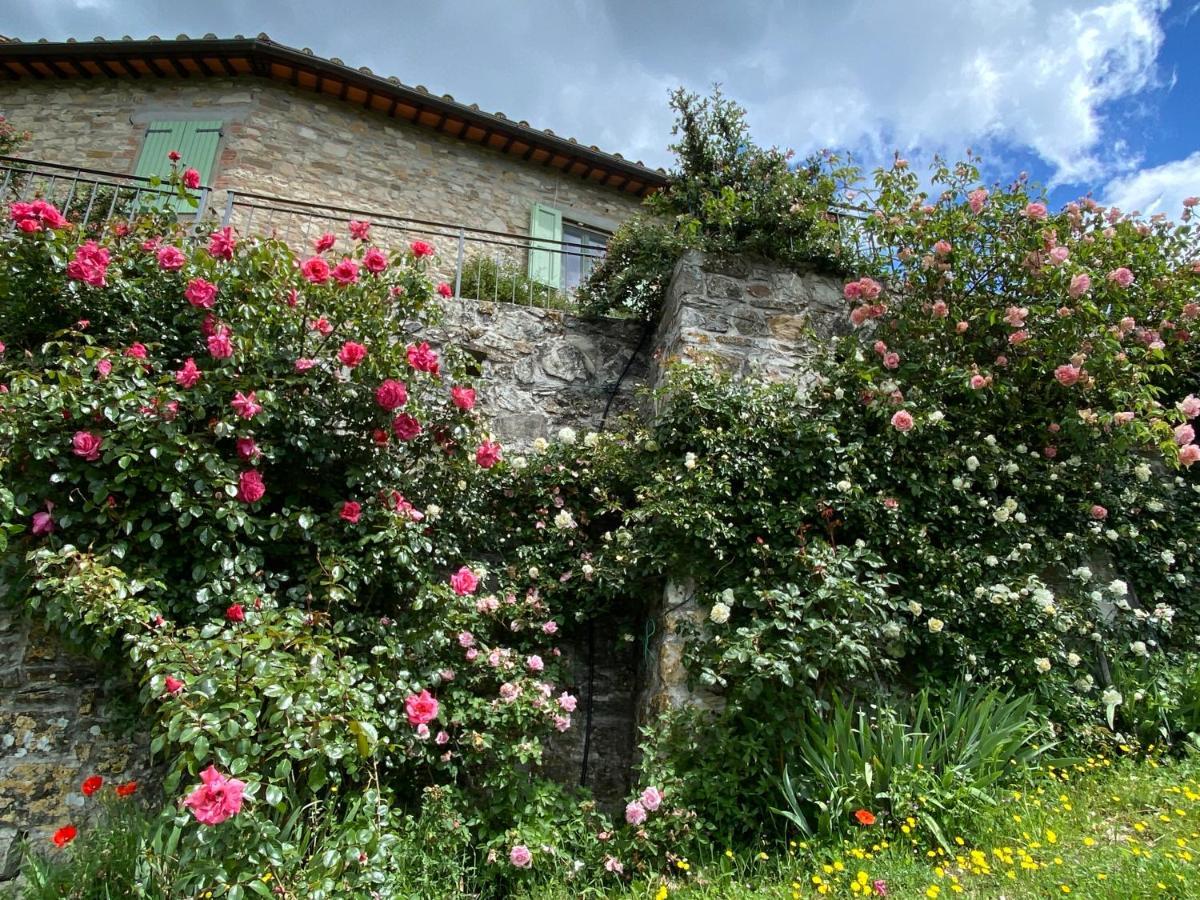 Florence Villa Violetta 바뇨아리폴리 외부 사진