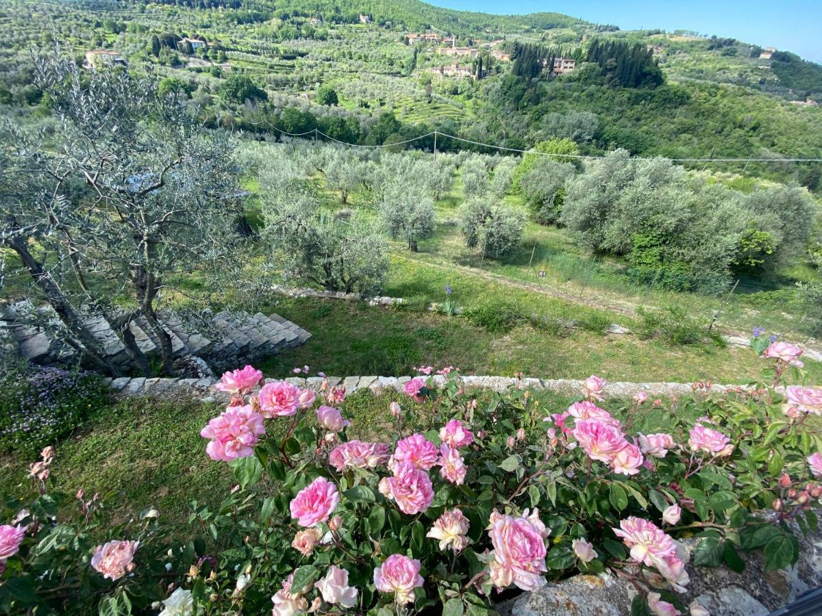 Florence Villa Violetta 바뇨아리폴리 외부 사진