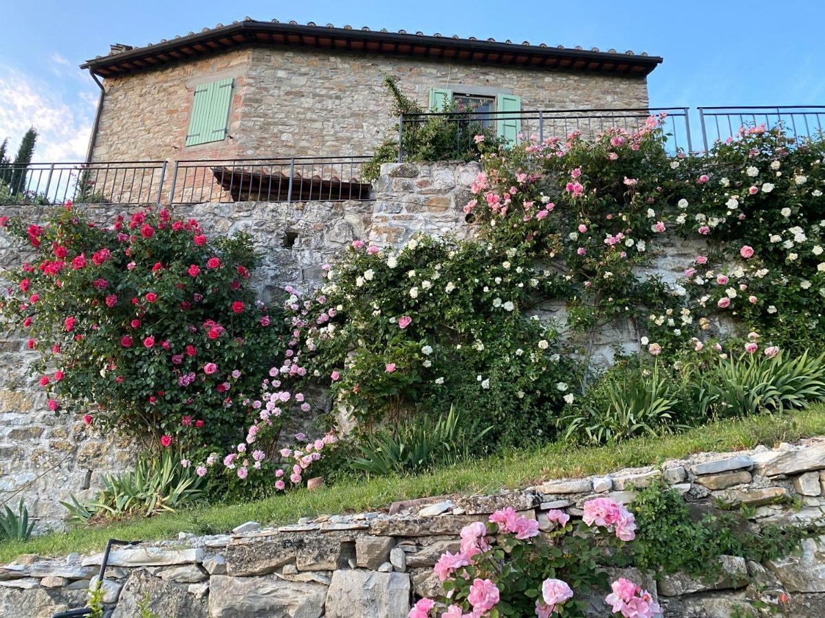 Florence Villa Violetta 바뇨아리폴리 외부 사진