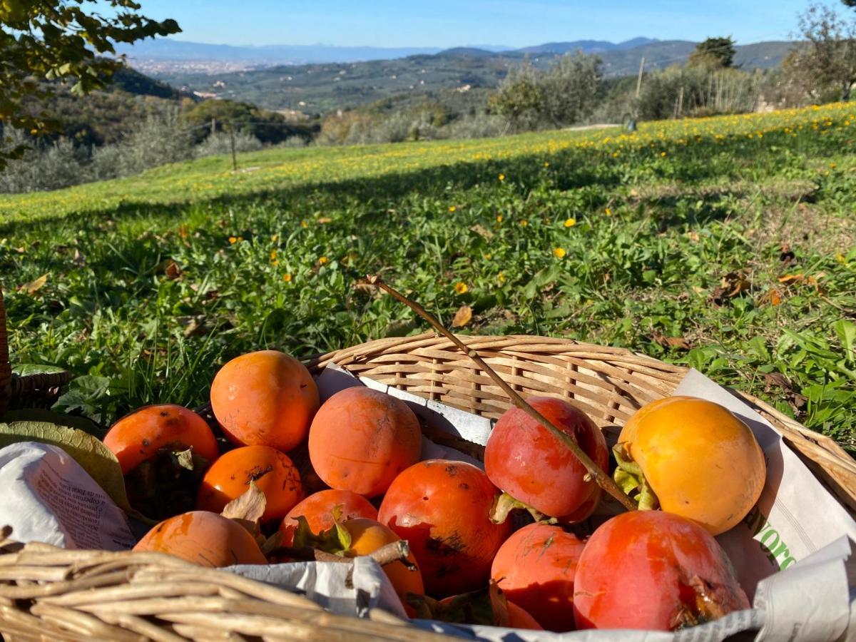 Florence Villa Violetta 바뇨아리폴리 외부 사진